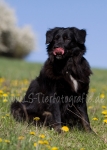 09 Lola&Kosta